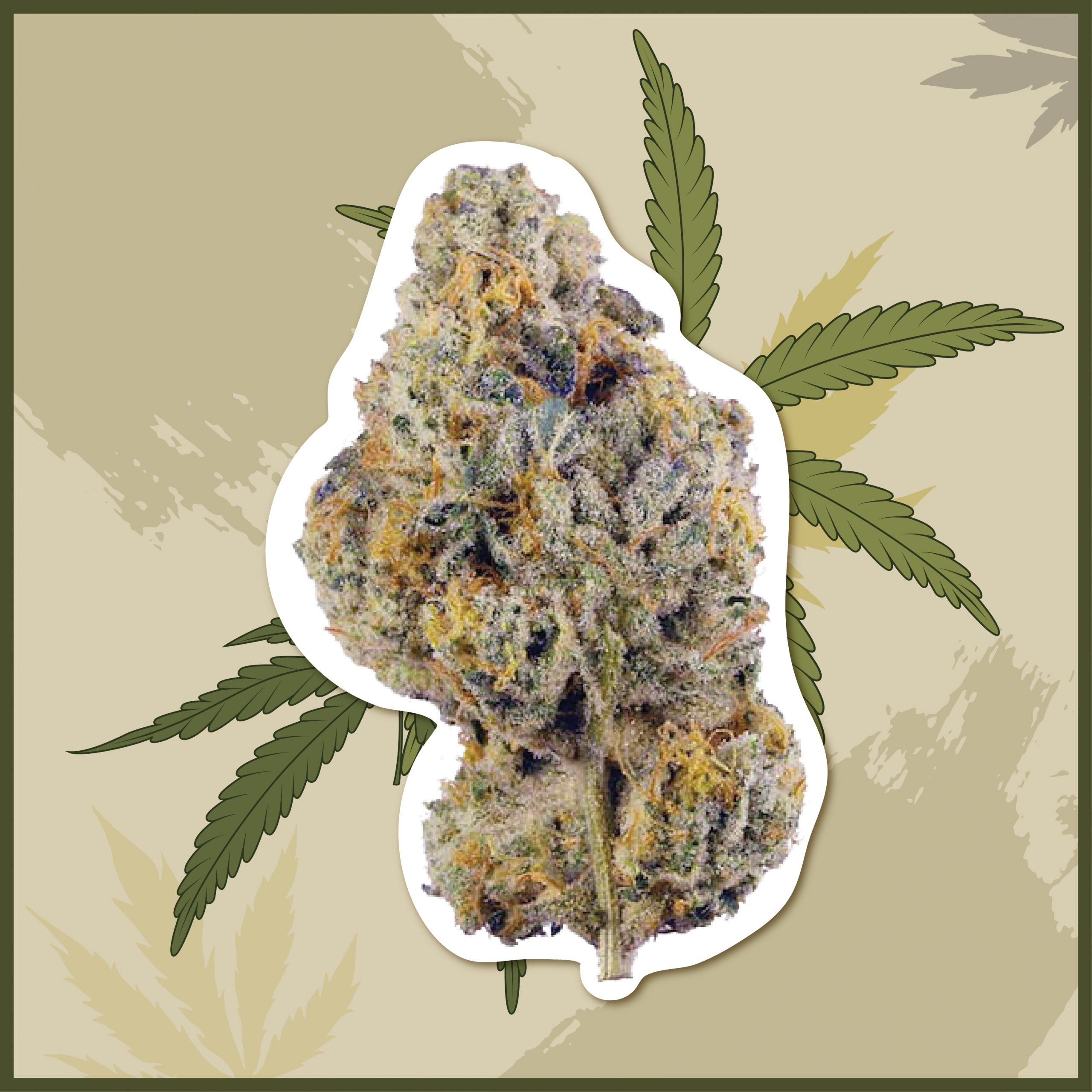 Sunset Cookies